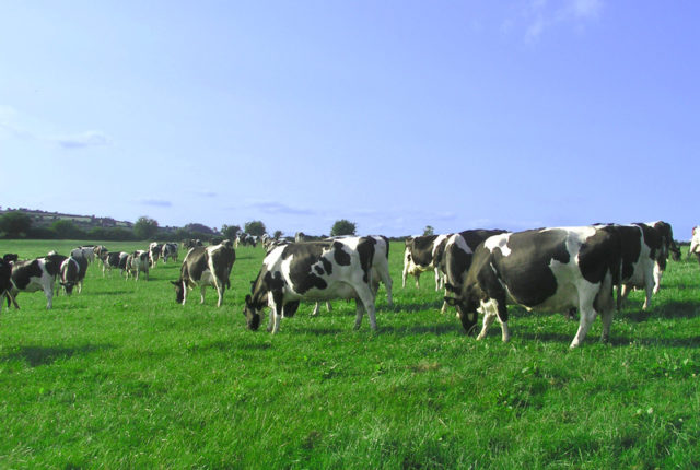 Higher Education and Agriculture